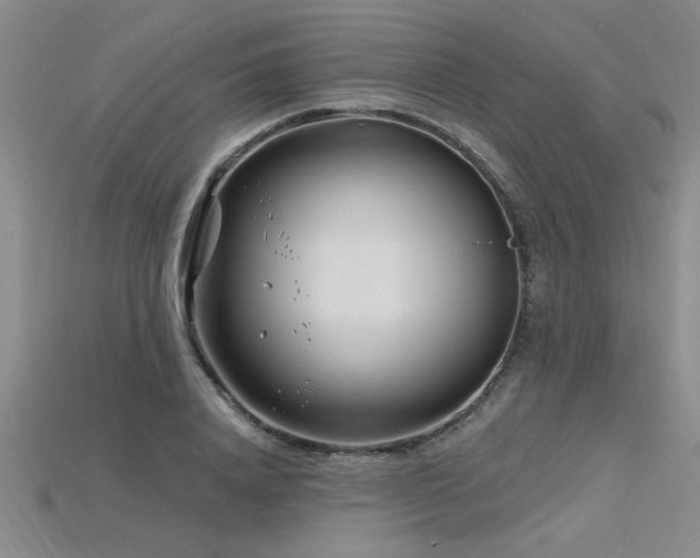 X0000115810840200911131419