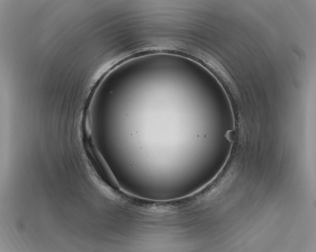 X0000115810842200911131419