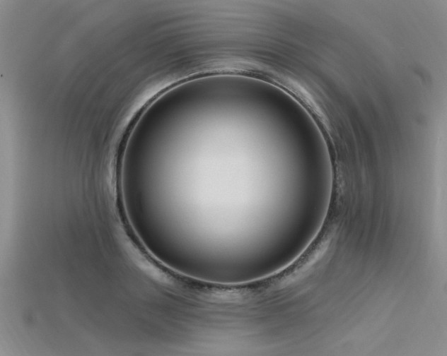 X0000115810843200911131419