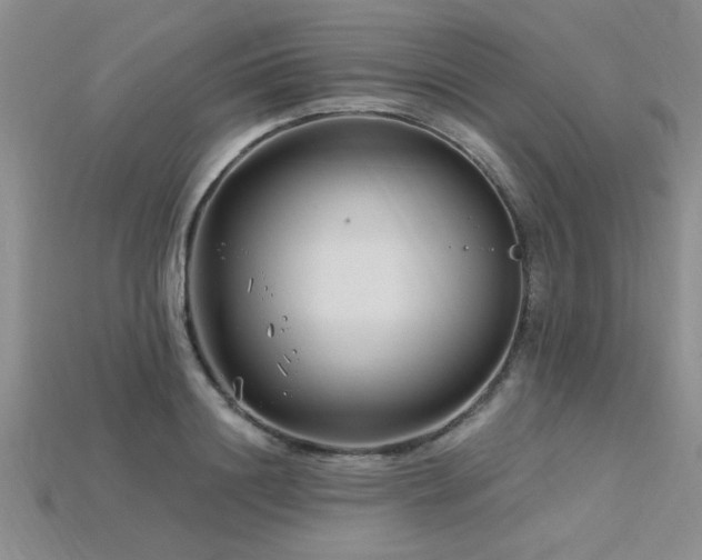 X0000115810844200911131419