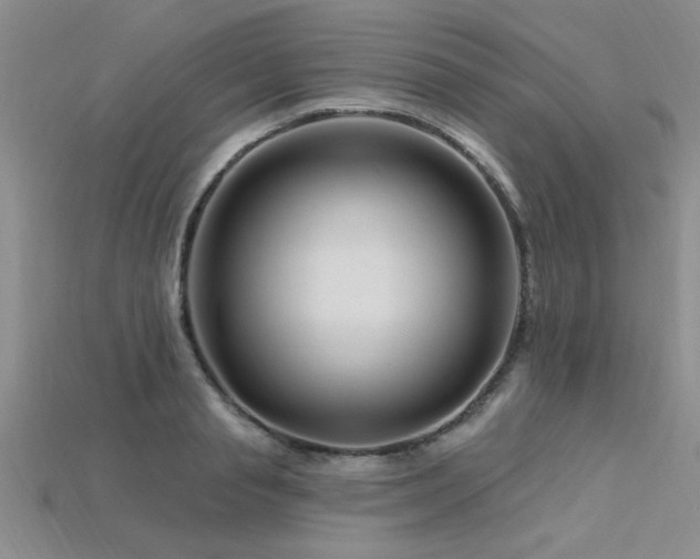 X0000115810845200911131419