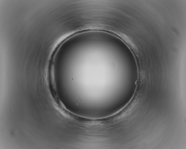 X0000115810846200911131419