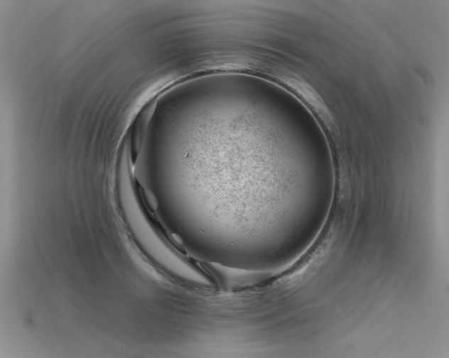 X0000115810850200911131419