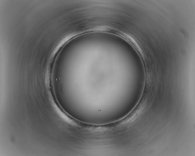 X0000115810851200911131419