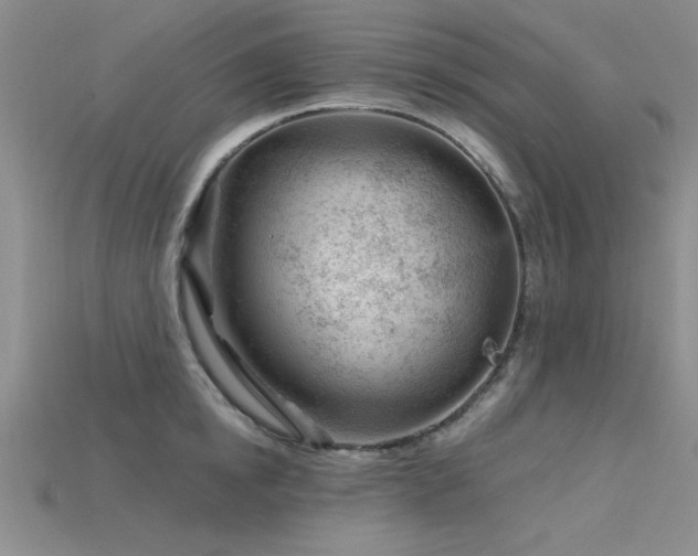 X0000115810854200911131419