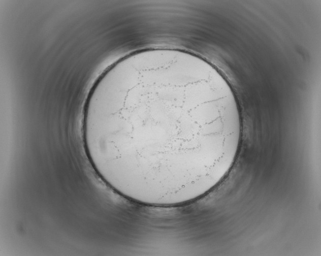 X0000115810856200911131419
