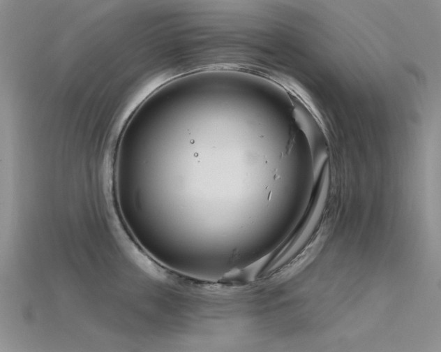 X0000115810859200911131419