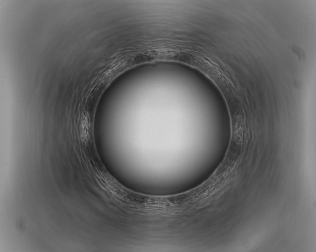 X0000115810866200911131418