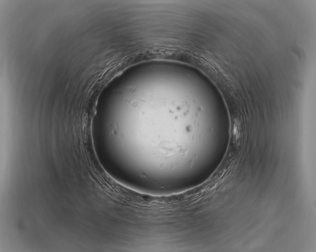 X0000115810867200911131418