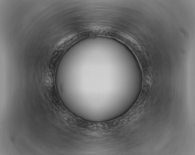 X0000115810869200911131418