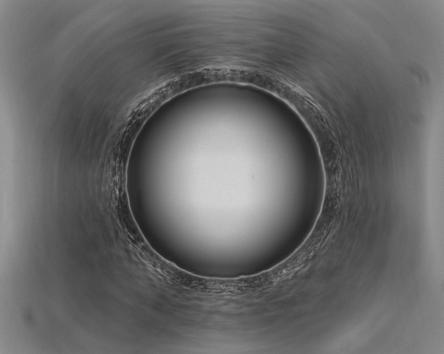 X0000115810870200911131418