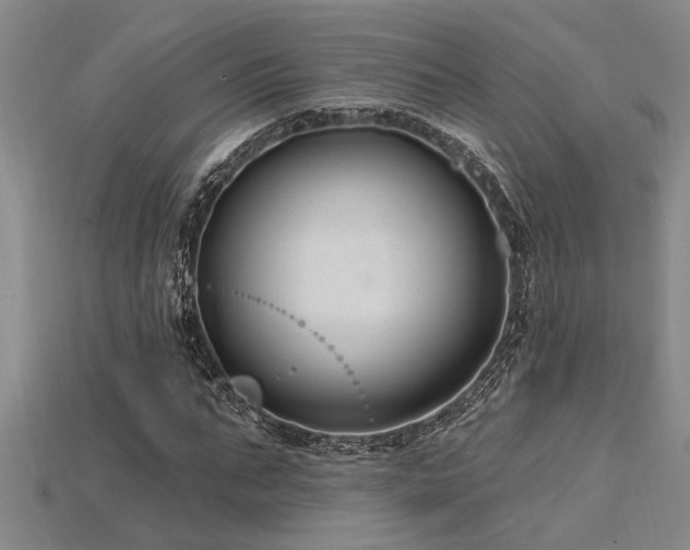 X0000115810871200911131418