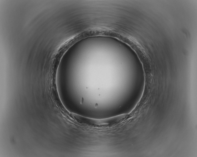 X0000115810872200911131418