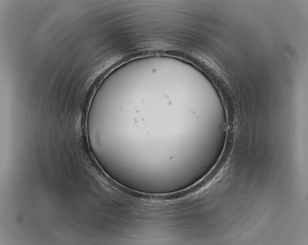 X0000115810873200911131418