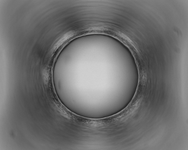 X0000115810874200911131418