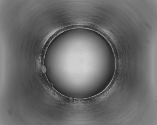 X0000115810875200911131418