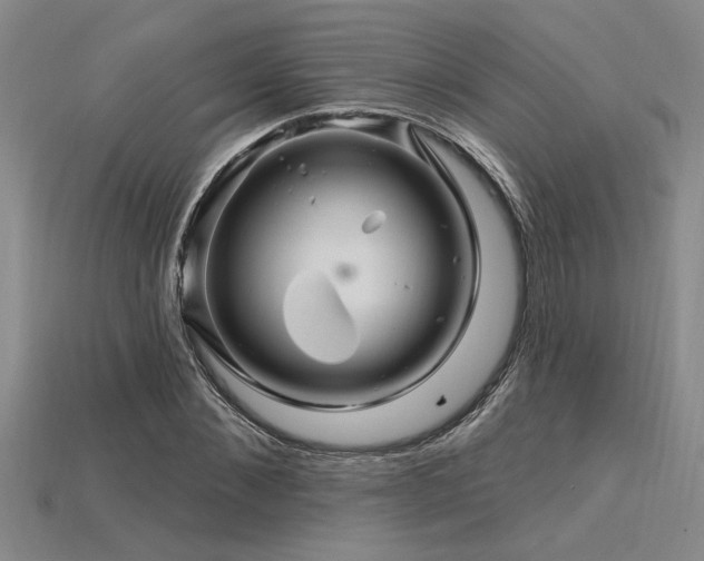 X0000115810876200911131418