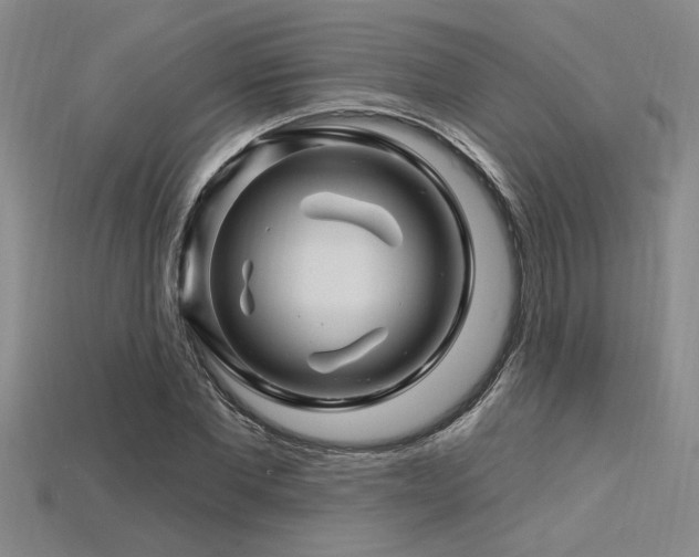 X0000115810877200911131418