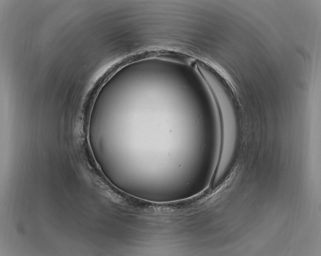 X0000115810878200911131418