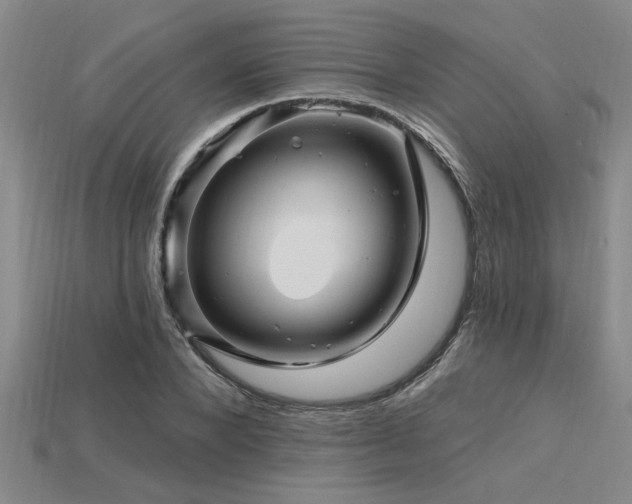 X0000115810880200911131418