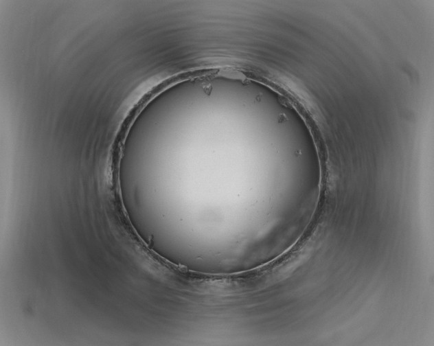 X0000115810883200911131418