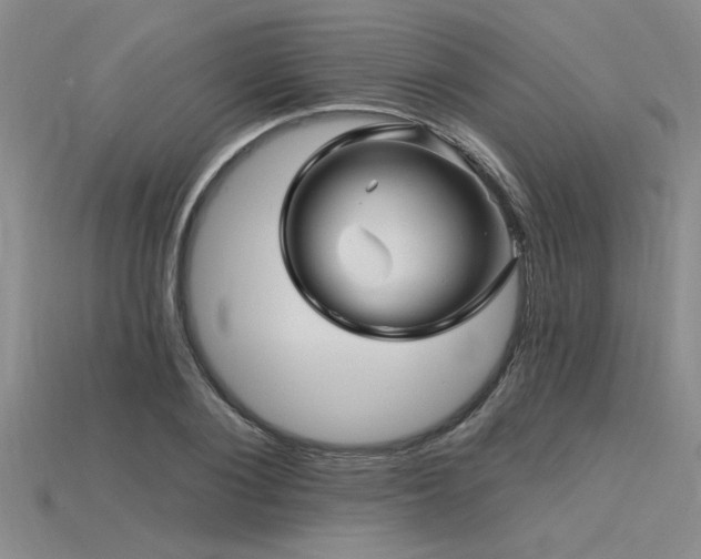 X0000115810884200911131418