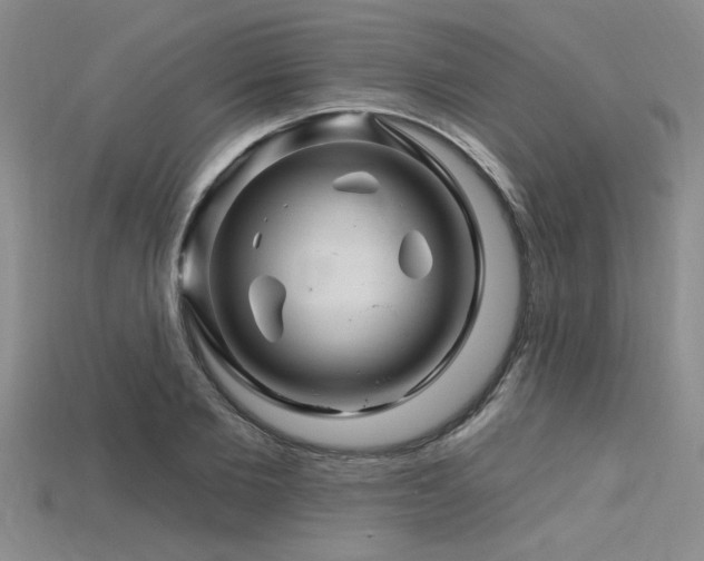 X0000115810885200911131418