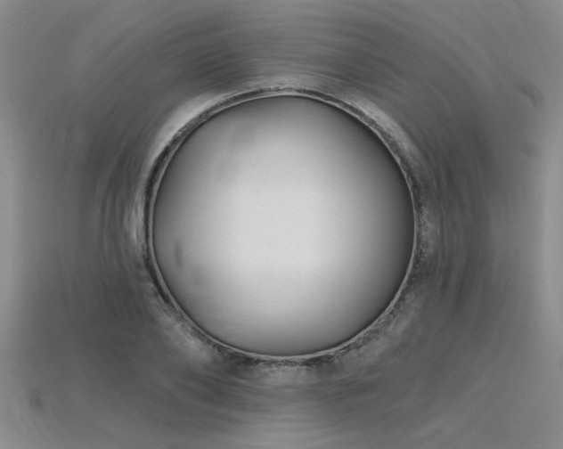X0000115810886200911131418