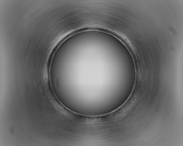 X0000115810887200911131418