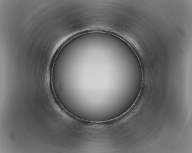 X0000115810888200911131418