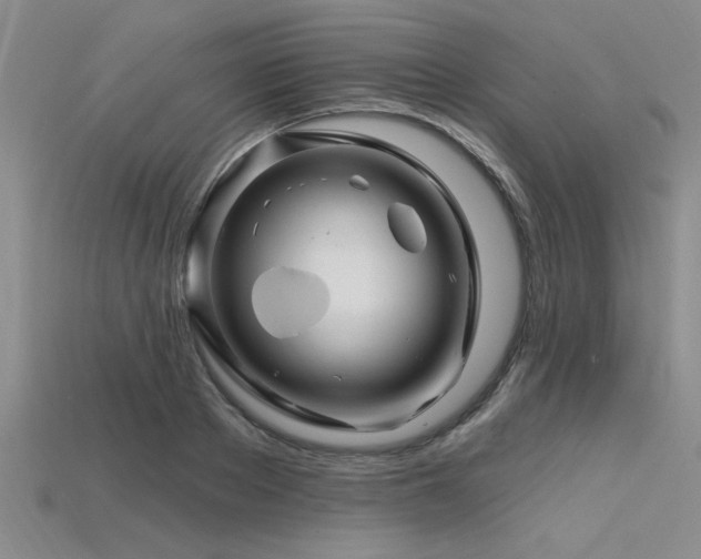 X0000115810889200911131418