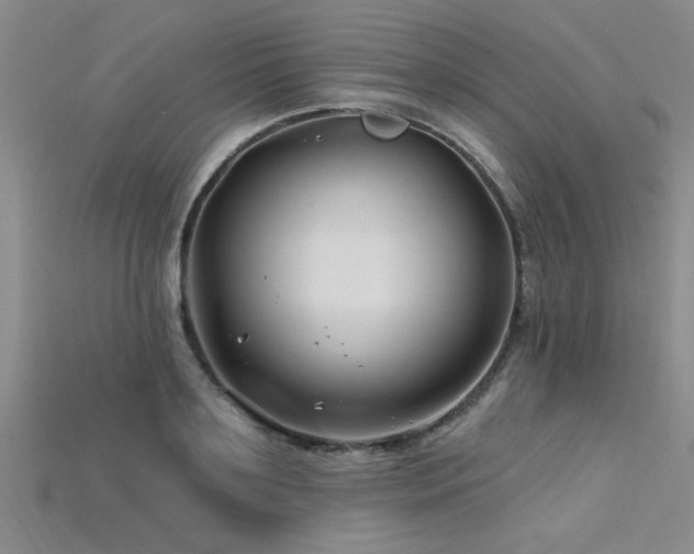 X0000115810891200911131418