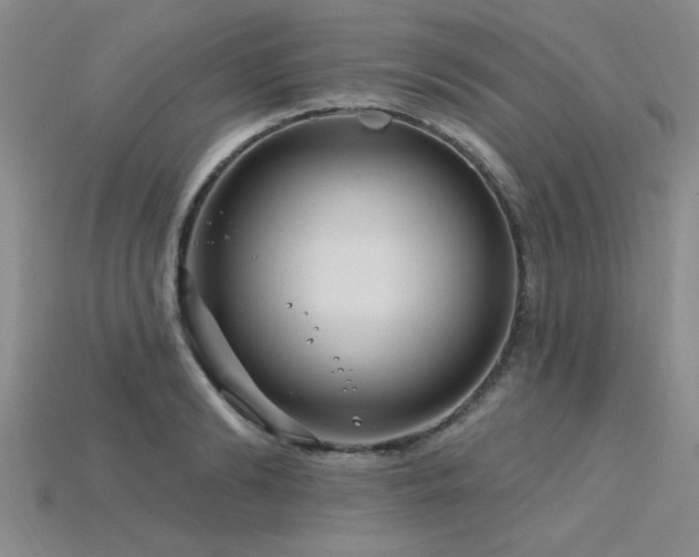 X0000115810894200911131418