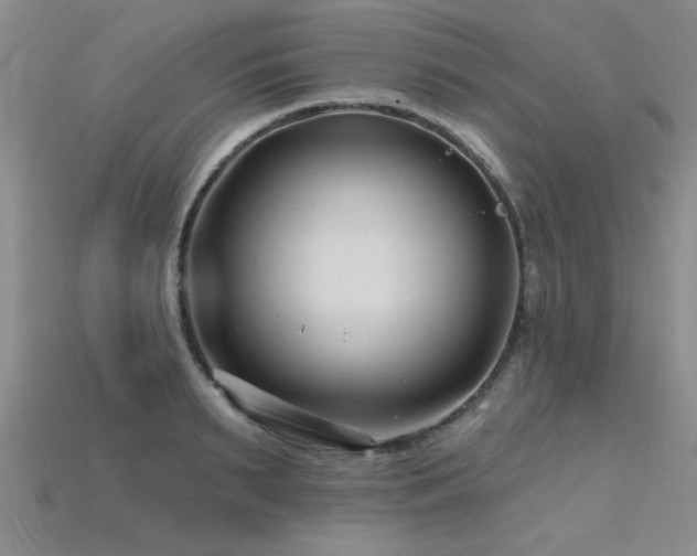 X0000115810895200911131418