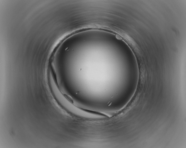 X0000115810896200911131418