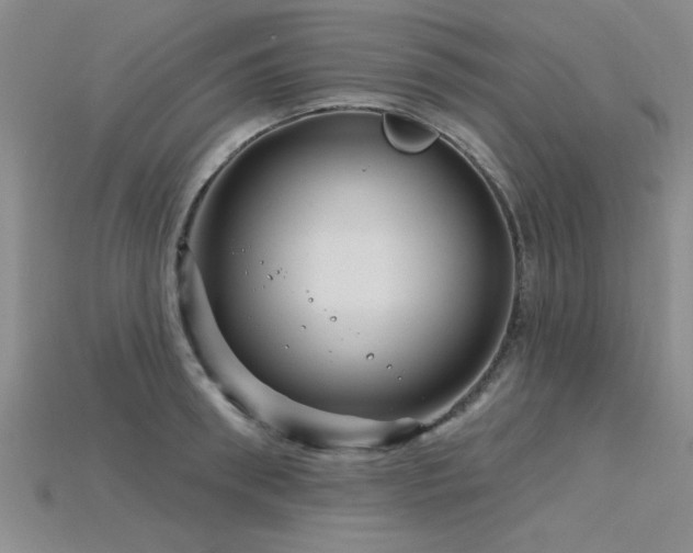 X0000115810898200911131418