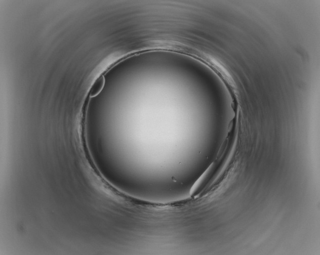 X0000115810899200911131418