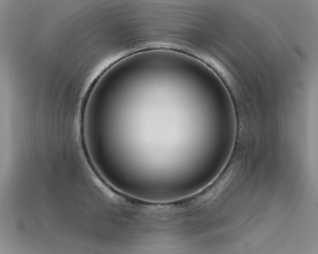 X0000115810902200911131418