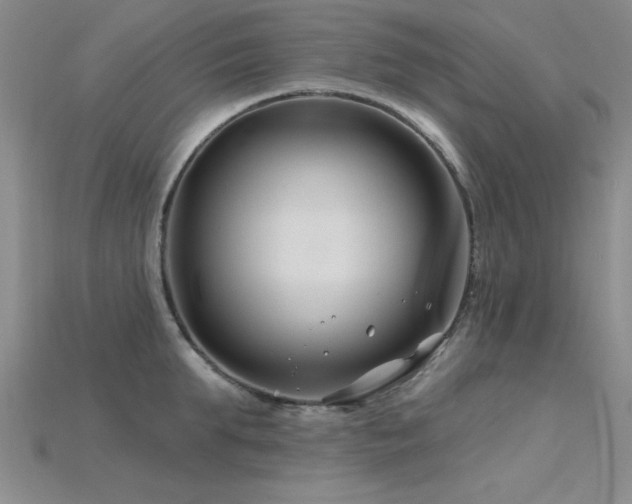 X0000115810903200911131418