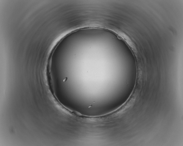 X0000115810904200911131418