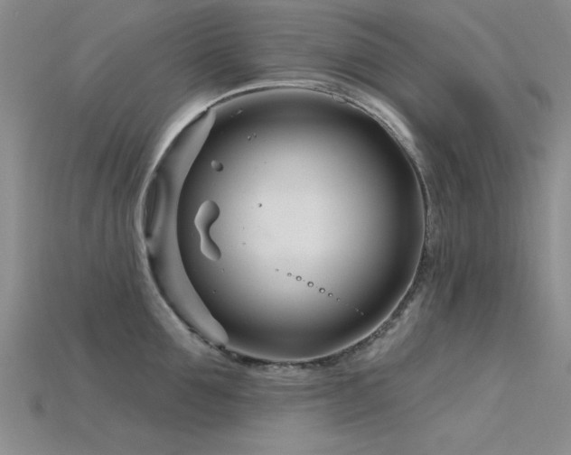 X0000115810907200911131418