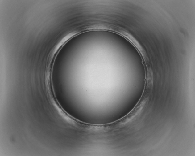 X0000115810909200911131418