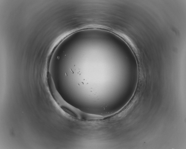 X0000115810910200911131418