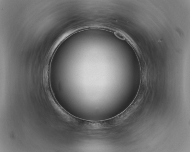 X0000115810911200911131418