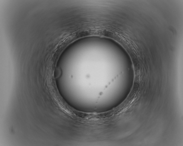 X0000115810913200911131417