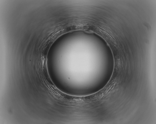 X0000115810914200911131417