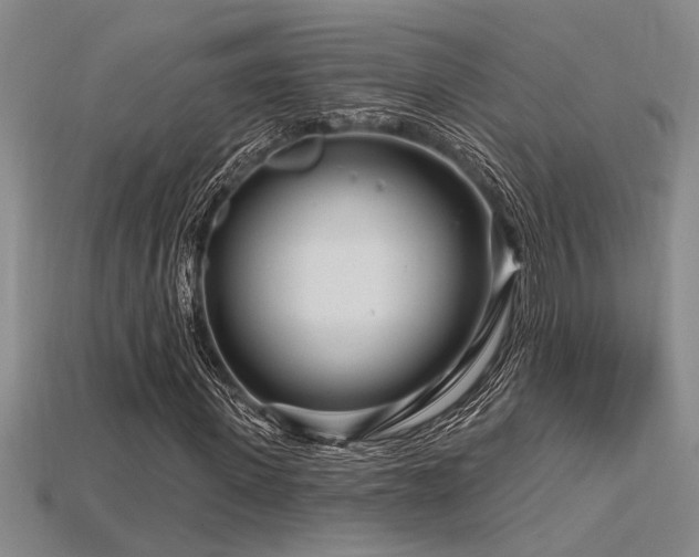 X0000115810915200911131417