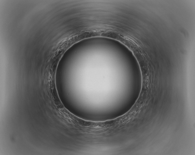 X0000115810917200911131417