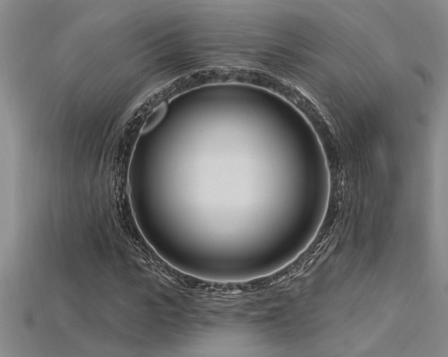 X0000115810919200911131417