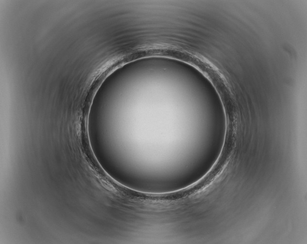 X0000115810921200911131417